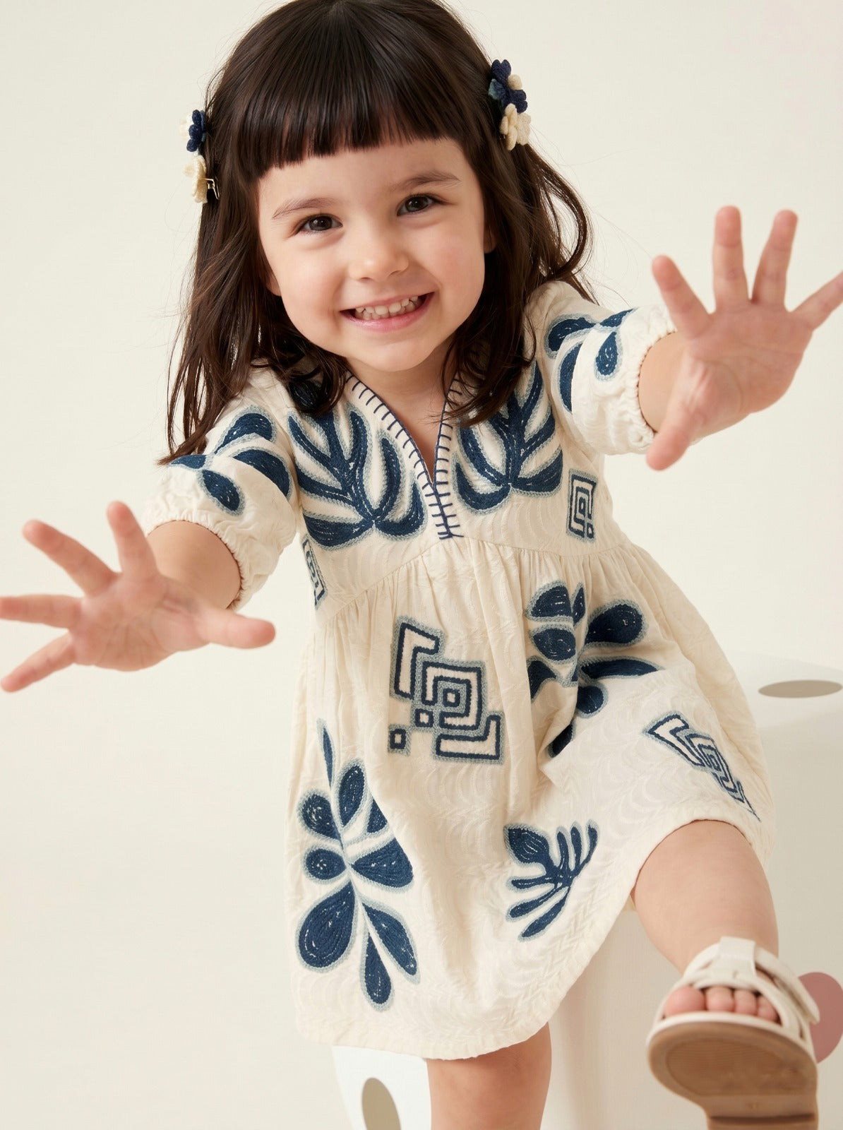 Ivory and Ink Embroidered Dress