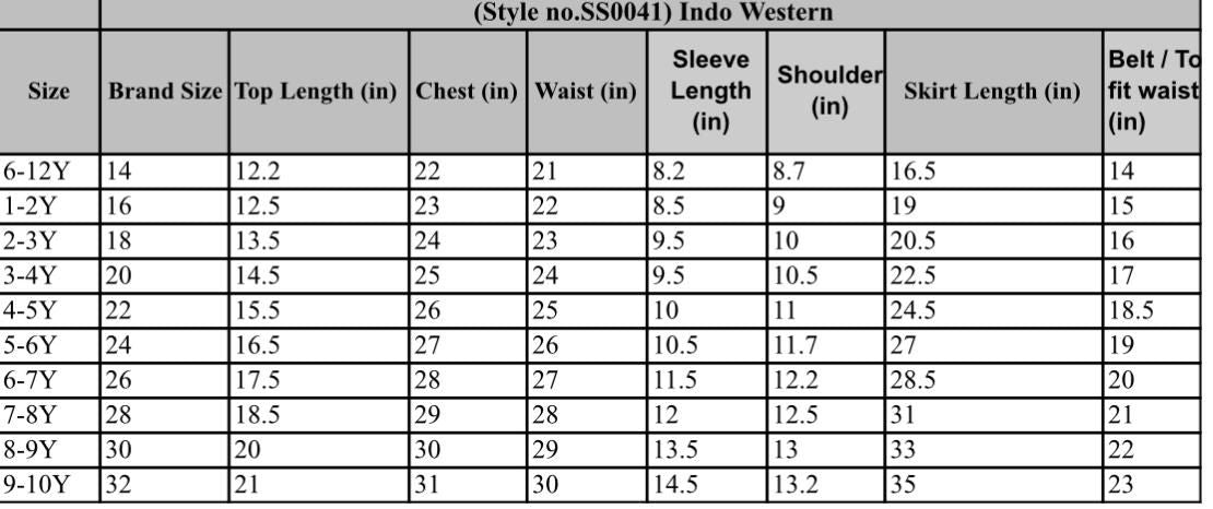 Girls Indo Western Lehenga